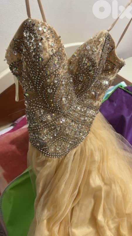 Champagne Ballroom Dress with Jewels – Worn Once 0