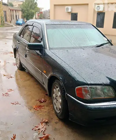 70494564