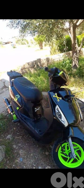 الفاكهه 1