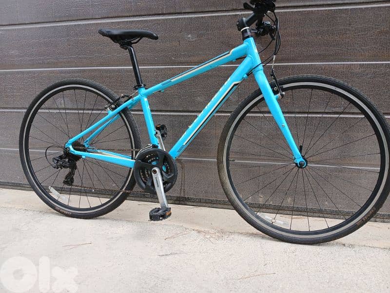 specialized vita 6