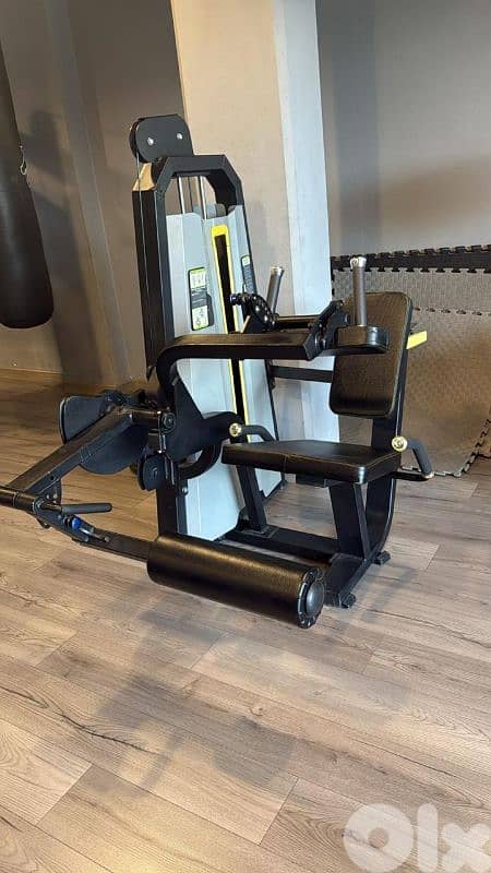 Seated leg curl 0