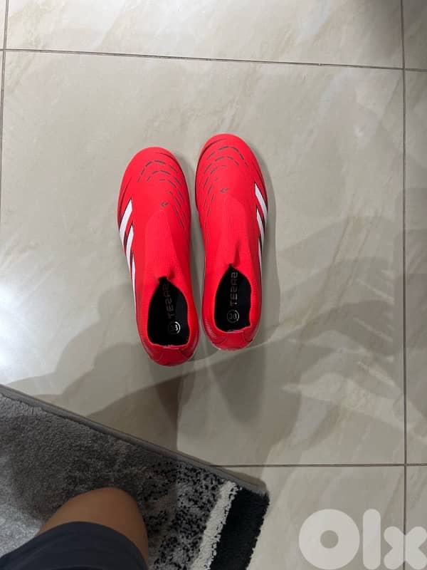 addidas preditor shoes 0