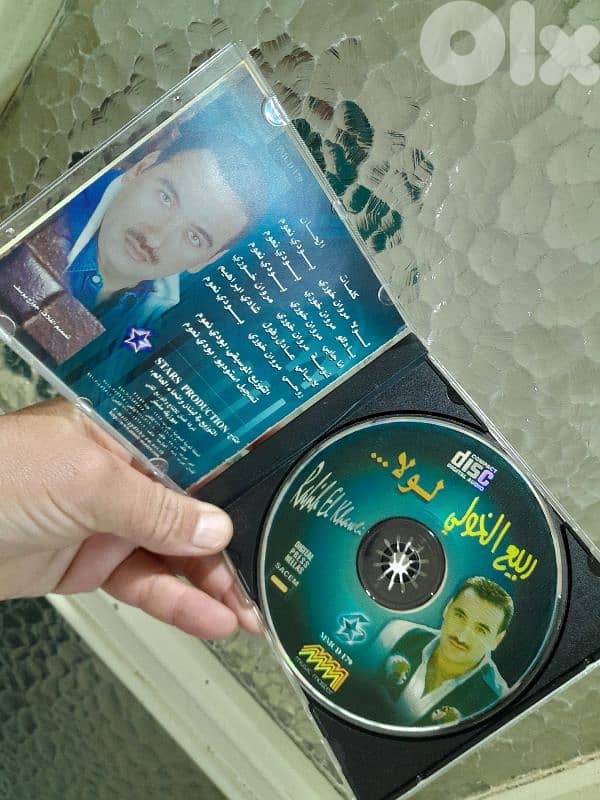 ربيع الخولي 2