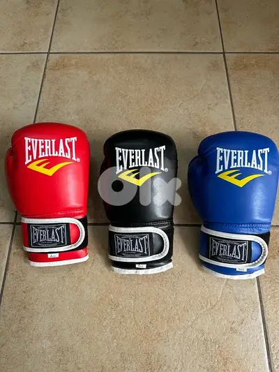 EVERLAST Boxing Gloves