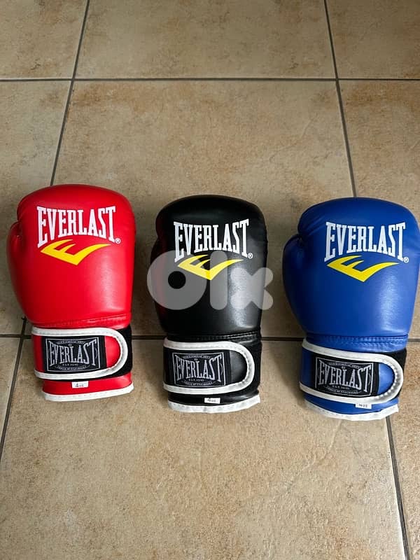 EVERLAST Boxing Gloves 0