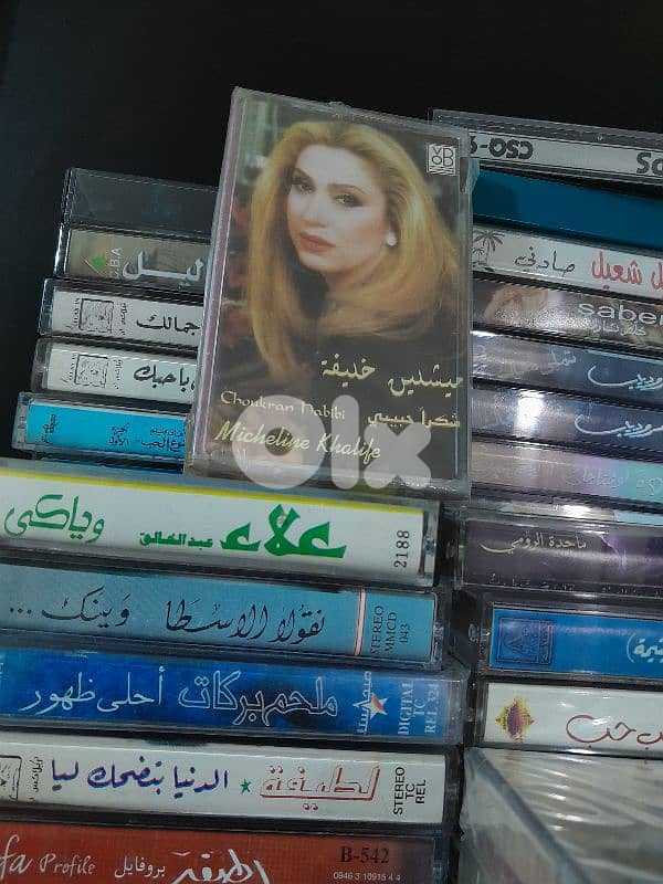 مشلين خليفة 0