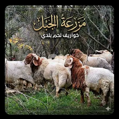 خواريف