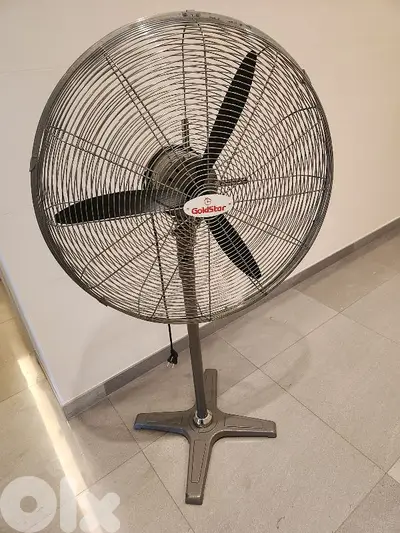 LARGE FAN