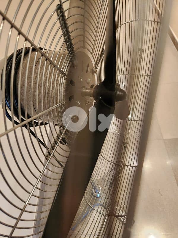 LARGE FAN 3