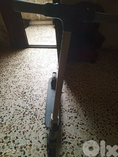 الضاحيه