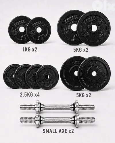32Kg Cast Iron Weights Plates with 2 Dumbbells Bars