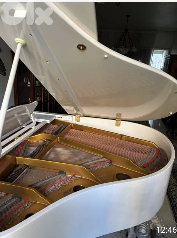 Piano à queue 4