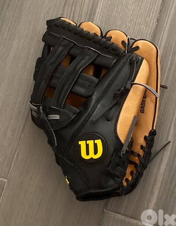 Baseball glove 2