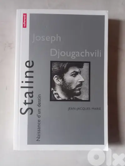 Staline : Naissance d'un destin by Jean-Jacques Marie, published in 19