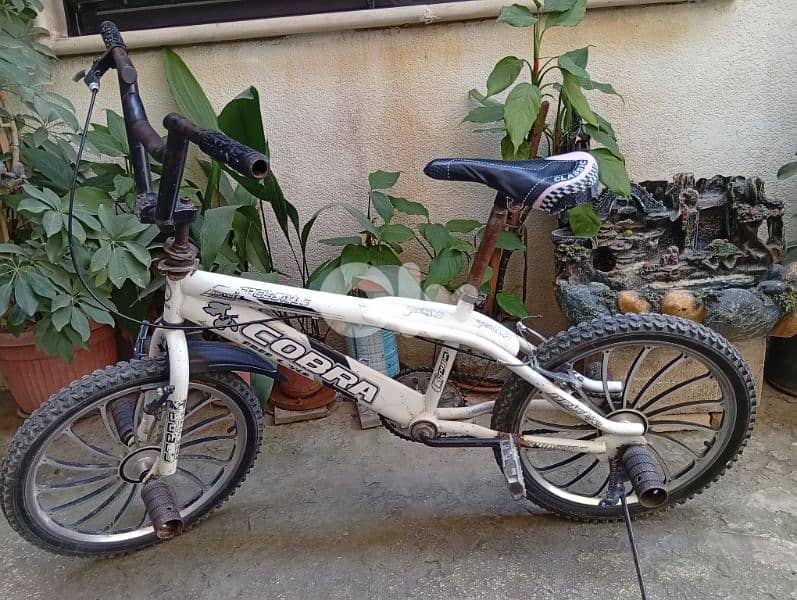 bicycle 1