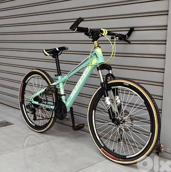 American bicycle 24 1
