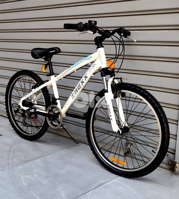 American bicycle 24 2