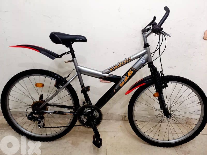 American bicycle 24 5