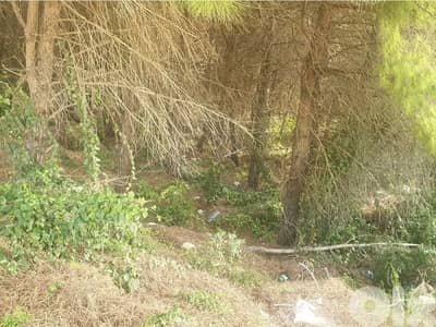 1585m2 Land in Bayada, Cornet chehwan