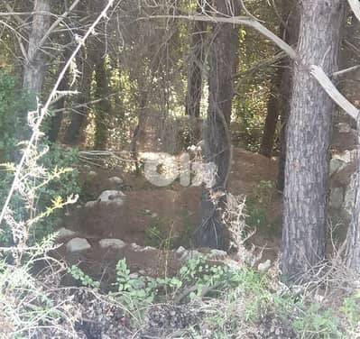 1585m2 Land in Bayada, Cornet chehwan