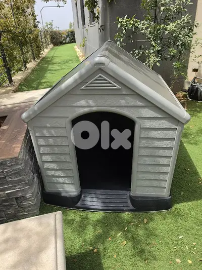 dog house