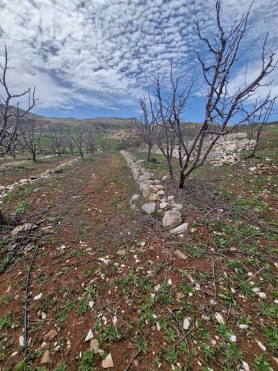 Beautiful Open Mountain View,Aaqoura,Keserwane/عاقورة REF#RG135756