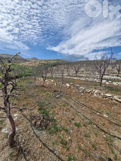Beautiful Open Mountain View,Aaqoura,Keserwane/عاقورة REF#RG135756