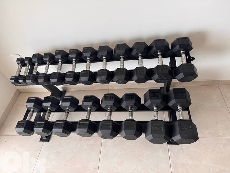 Dumbells and rack and bench 0