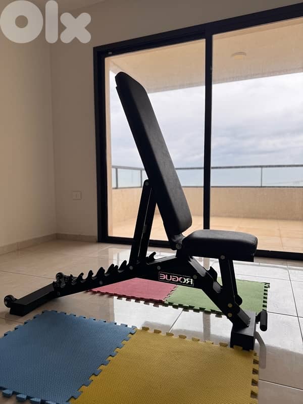Dumbells and rack and bench 4