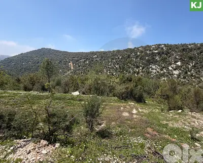 From saint charbel aanaya, jbeil hjoula / حجولا  REF#KJ135761