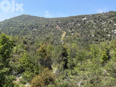 From saint charbel aanaya, jbeil hjoula / حجولا  REF#KJ135761