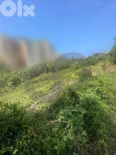Exceptional Value, Sea View , Hot Deal Edde-Jbeil/اده REF#NI135772