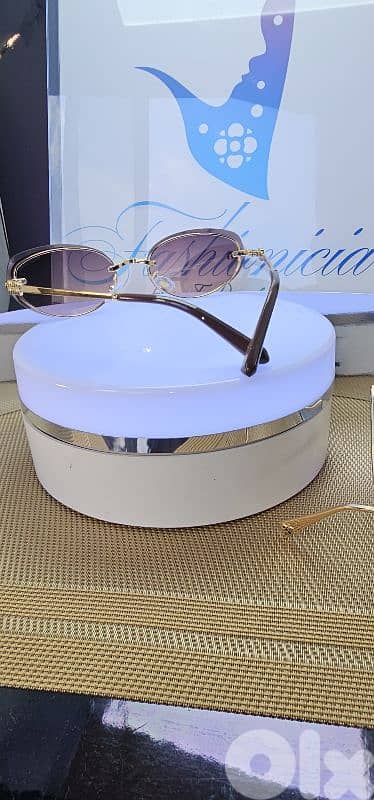 Miu Miu Sunglasses 2