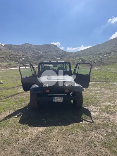 Jeep Wrangler 1994  original