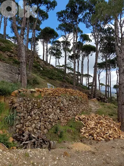 Land for sale in Bmohray Chouf أرض للبيع في بمهري الشوف