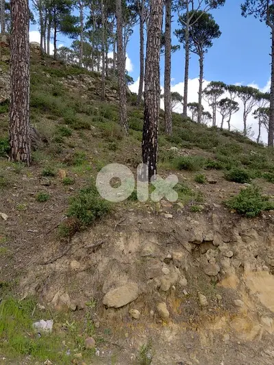 Land for sale in Bmohray Chouf أرض للبيع في بمهري الشوف