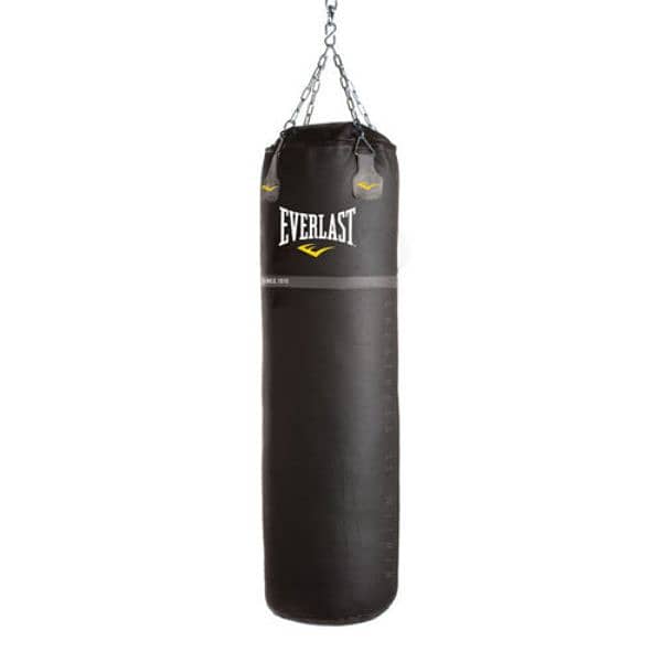 Everlast boxing bag 0