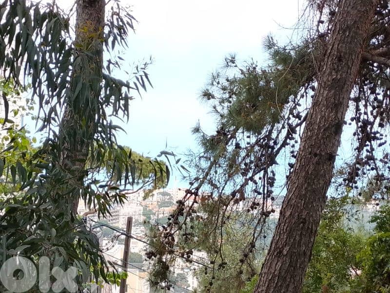 land for sale in qenebet broummana 0