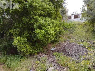 land for sale in qenebet broummana