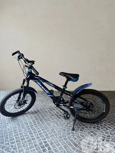 Phoenix special Bikes