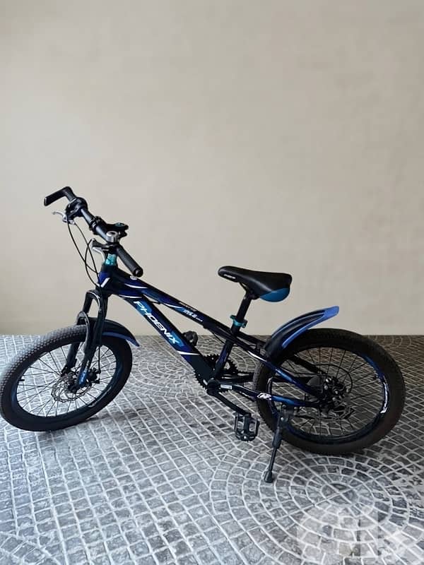 Phoenix special Bikes 0
