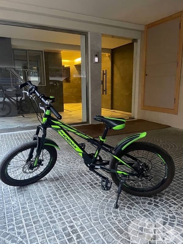 Phoenix special Bikes 1