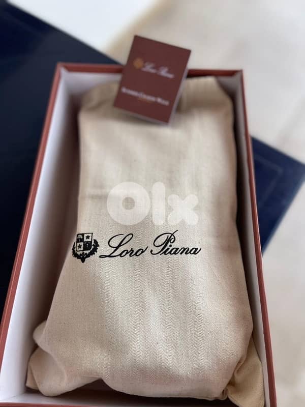Balenciaga and Loro piana 6