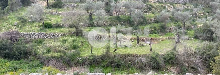 Land for sale in Chabtine - Batroun أرض للبيع في شبطين - البترون
