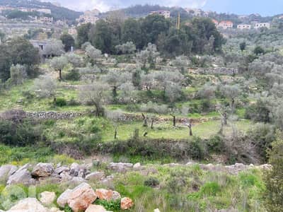 Land for sale in Chabtine - Batroun أرض للبيع في شبطين - البترون