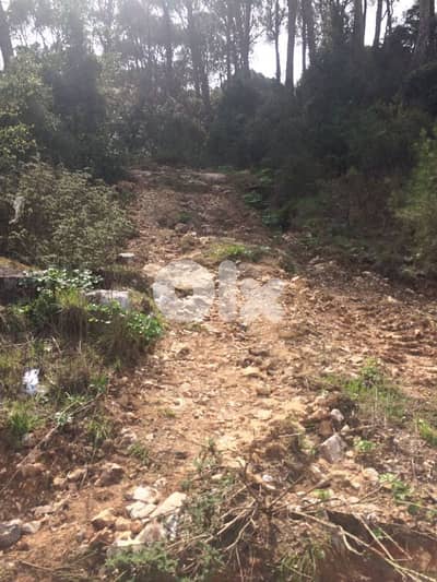 land for sale in qenebet broummana أرض للبيع في قنابة برمانا