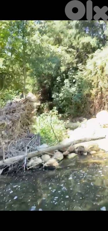 land for sale in aley selfaya أرض للبيع في عاليه سلفايا