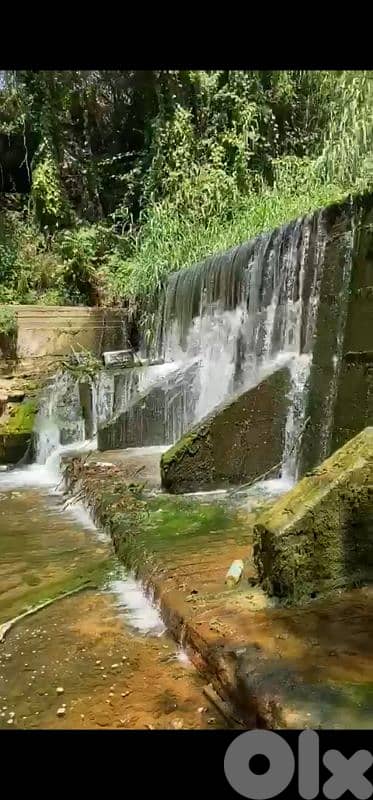 land for sale in aley selfaya أرض للبيع في عاليه سلفايا