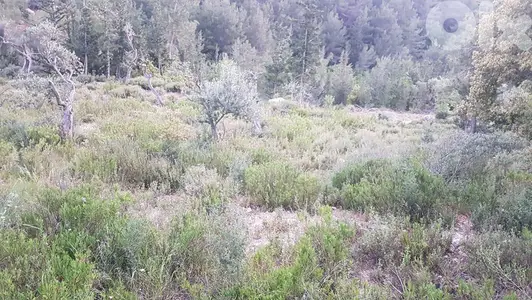 GMN178CM Land for sale in Zgharta - أرض للبيع في زغرتا