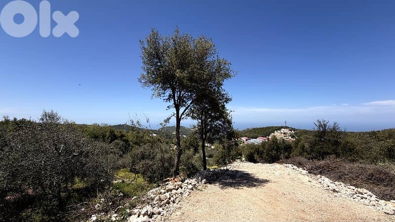 RWB369CA - Land for sale in Mechmech Jbeil 6